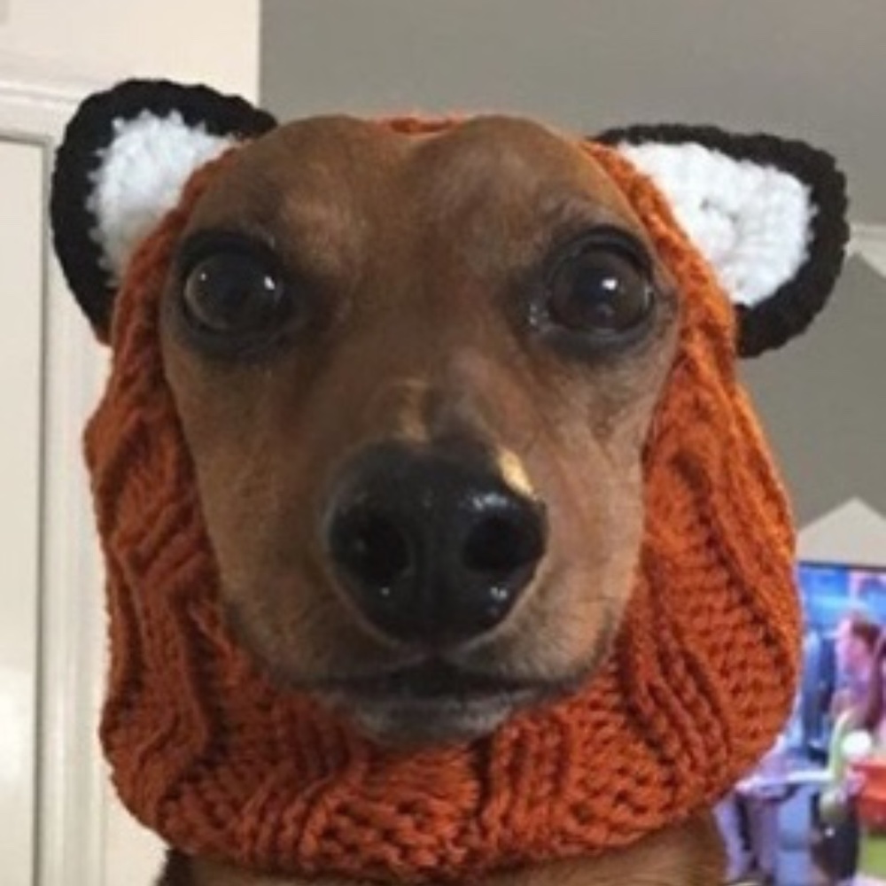 Meet your Posher, Alycia